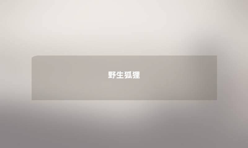 野生狐狸