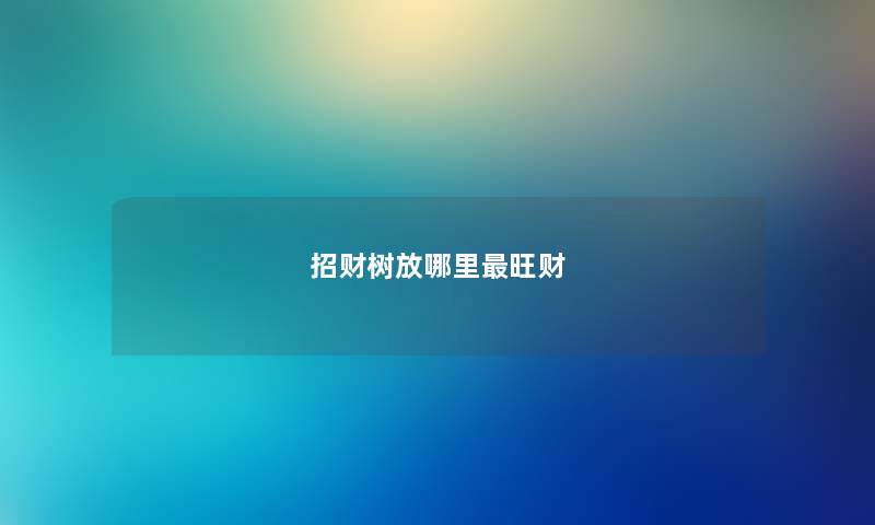 招财树放哪里最旺财