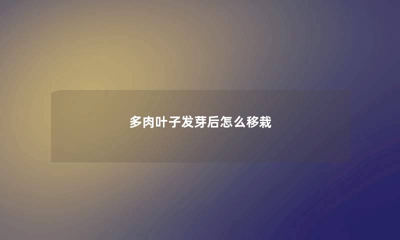多肉叶子发芽后怎么移栽 多肉叶子发芽后怎么移栽